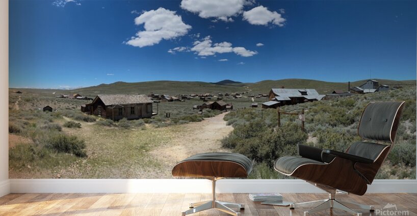 IMG 5049 Wall Murals