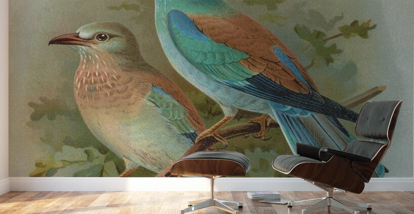 Coracias garrula by Johann Friedrich Naumann [1780–1857] Wall Murals