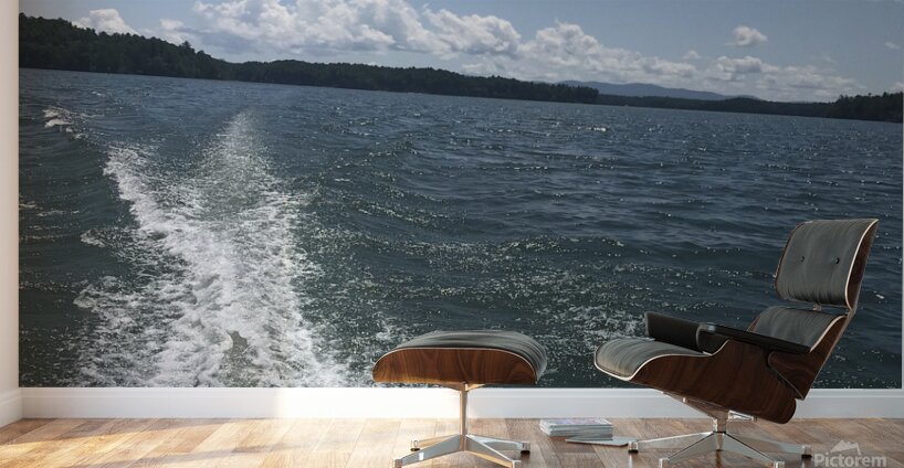 IMG 1165 Wall Murals