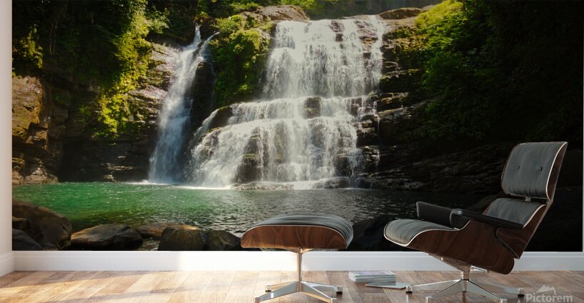 Lower Nauyaca Falls Wall Murals