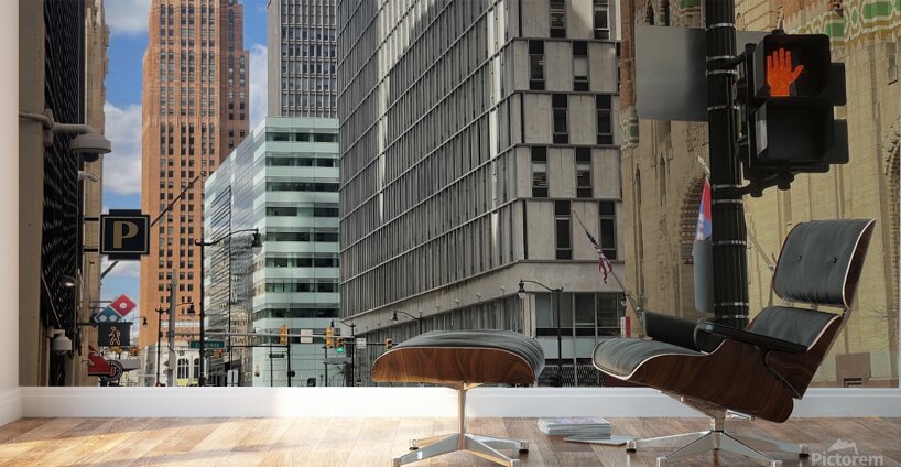 IMG 3771 Wall Murals