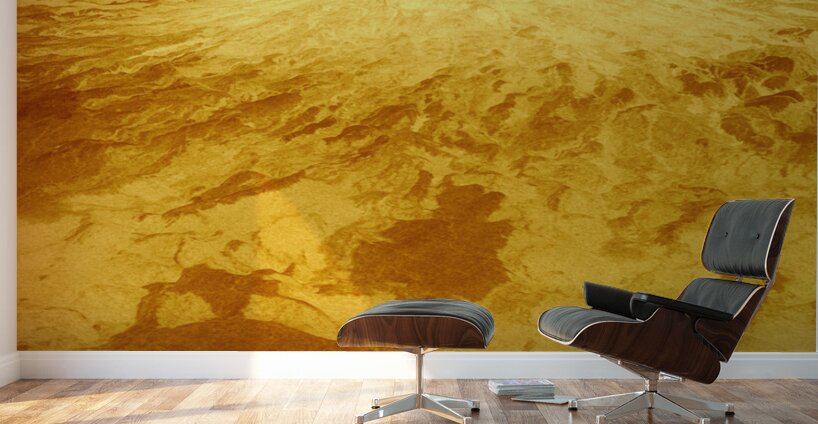 NASA Explore Posters - Venus B Wall Murals