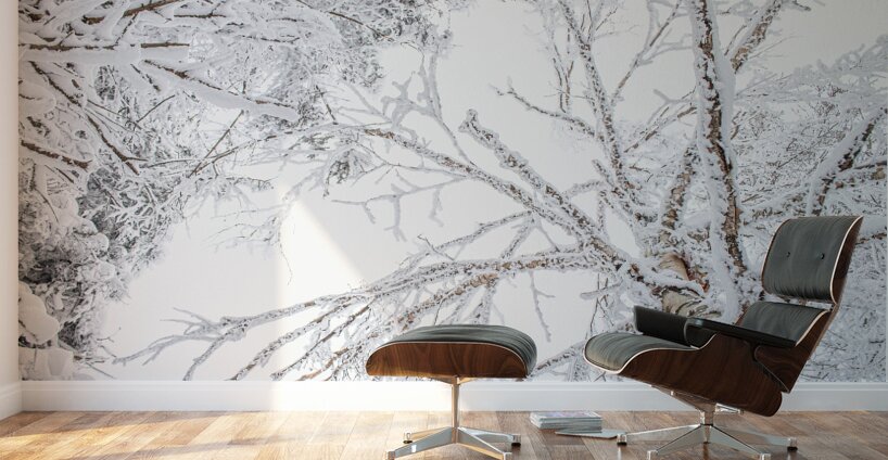 ciel blanc Wall Murals