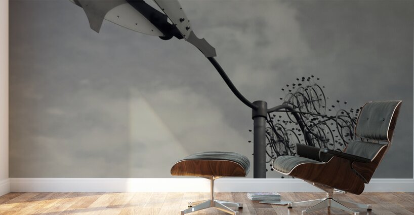 FS240229 36  Wall Murals