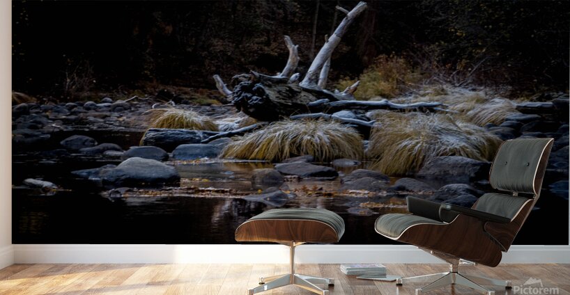 IMG 7561 4 Wall Murals