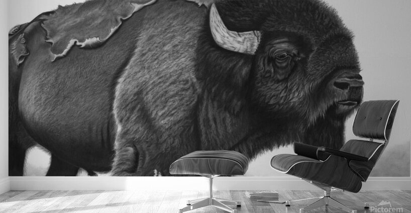 buffalo Wall Murals