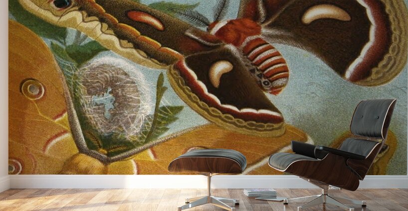 Die Insekten. Tausendfüssler und Spinnen Pl 11 [1877] by Alfred Edmund Brehm [1829–1884] Wall Murals