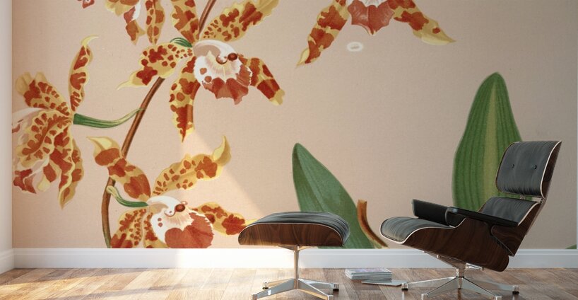 Odontoglossum Triumphans [1885] by Harriet Stewart Miner [1840–1895] Wall Murals