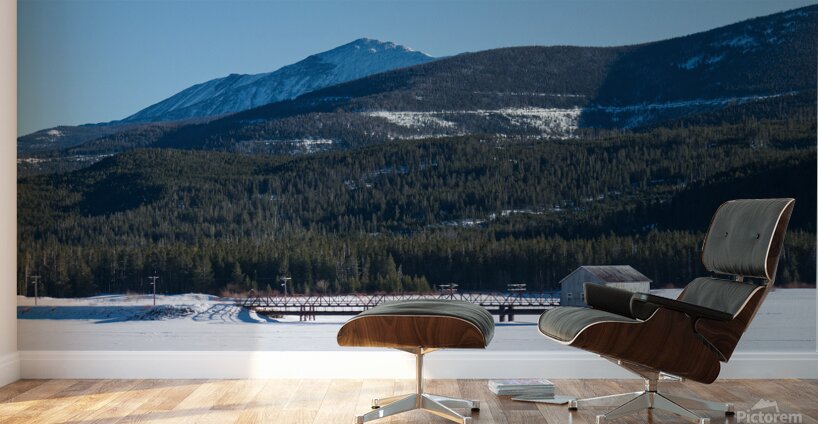 DSC 3357 Wall Murals