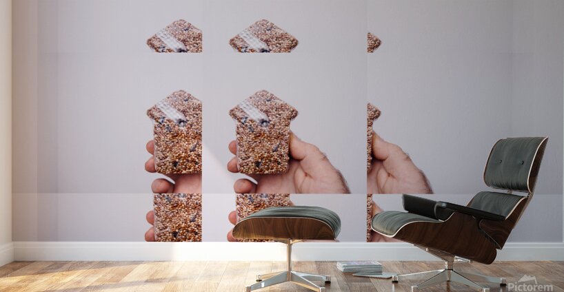 Hand Holding Seed Snack with Repetitive Pattern Wall Murals