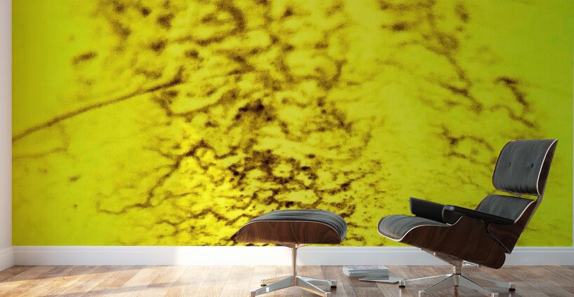 Humainement  Wall Murals