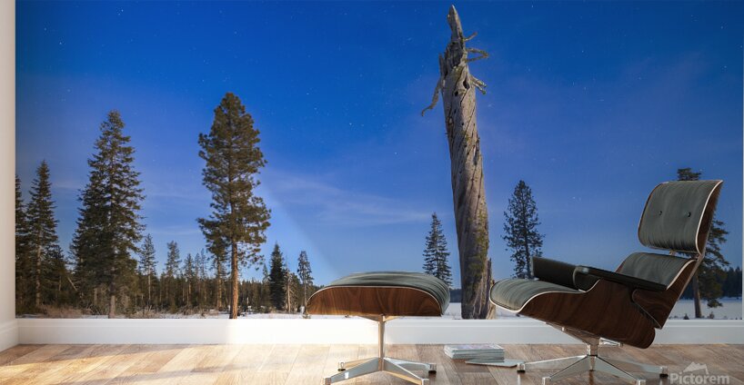 Moonlit Sentinel - Long Lake - Lassen County California nightscape Wall Murals