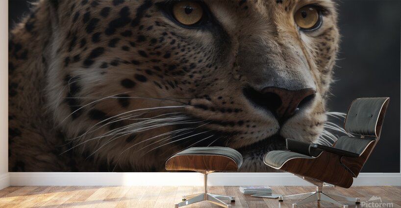 Close Up Portrait of a Leopard Wall Murals