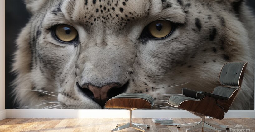 Majestic Snow Leopard Portrait Wall Murals