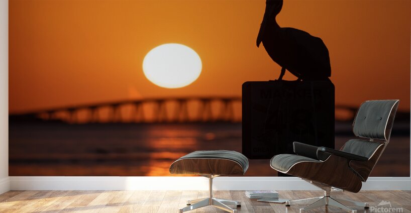 Pelican - Sunset Views Wall Murals