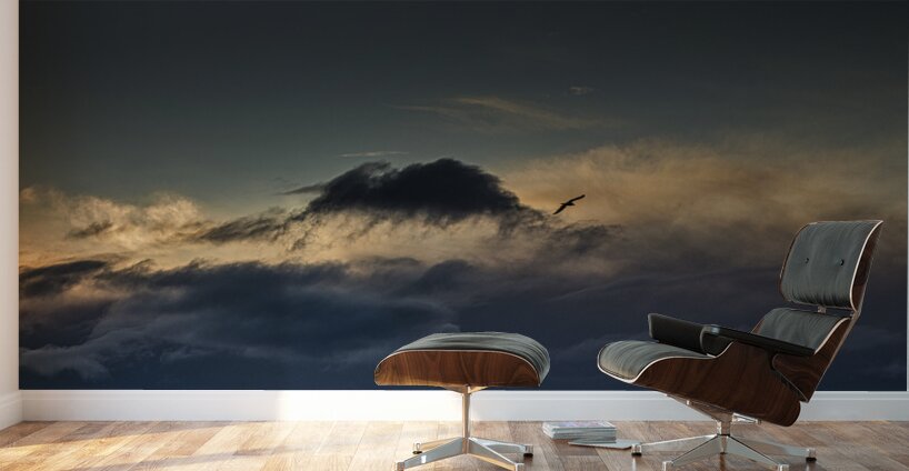 FS250201 FREE AS THE WIND Wall Murals