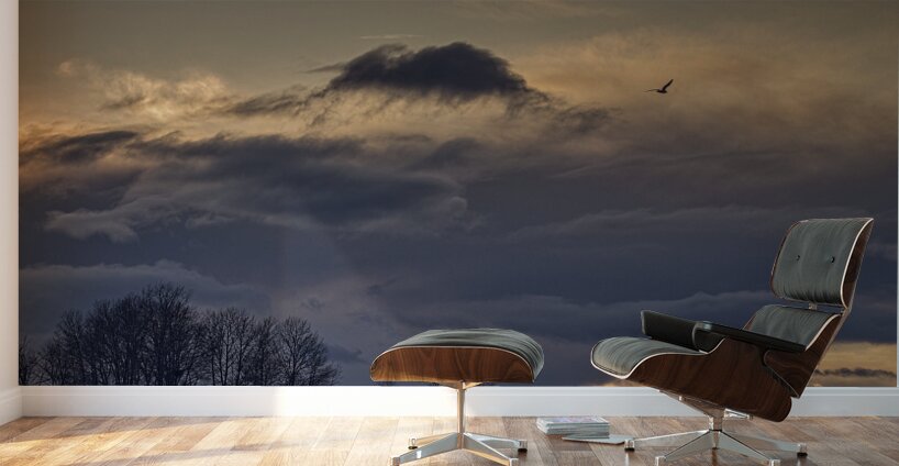 FS250201 SUNSET AT IMPERIAL LANDING Wall Murals