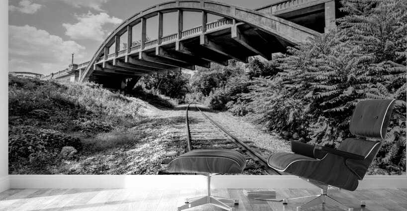Railroad Tracks Under Cotter Bridge Grayscale Wall Murals
