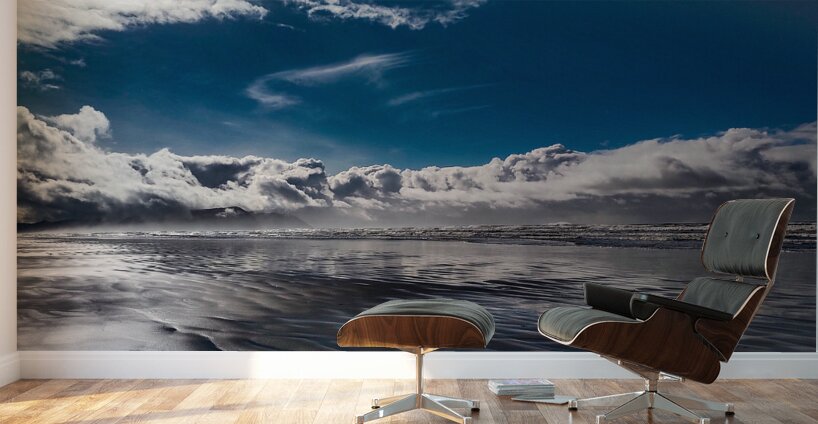 IMG 20250203 125235968 Wall Murals