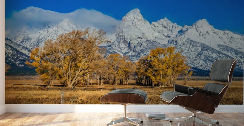 Fall Tetons Wall Murals