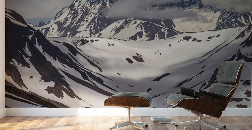 Majestic View Wall Murals
