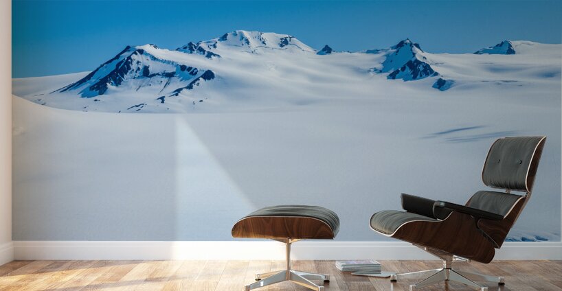 Icefield View Wall Murals
