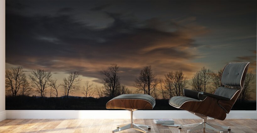 FS250125DW Wall Murals