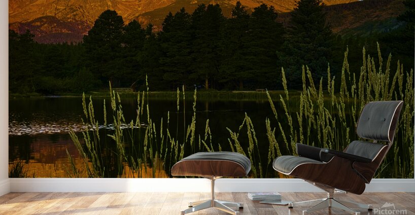 Morning Reflection Wall Murals