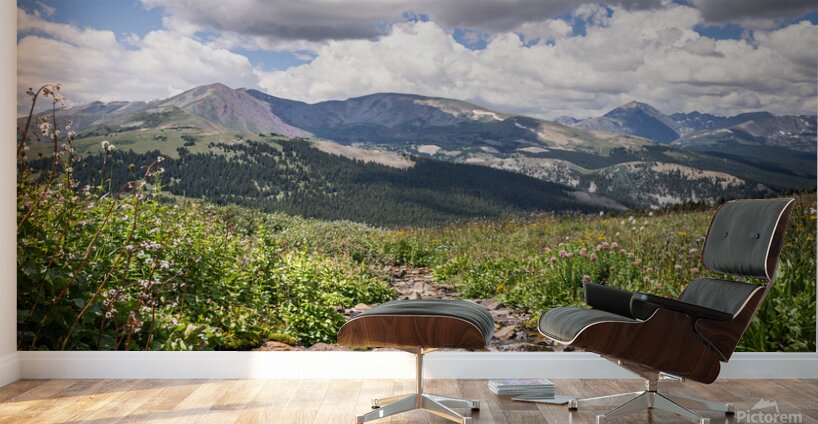 Moment of peace Wall Murals