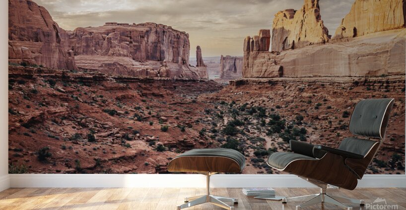 arches National Park Wall Murals