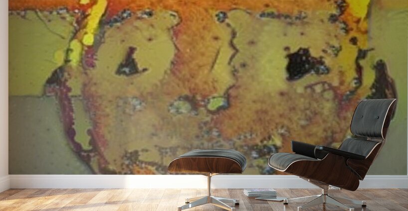 img7431894 313c6644663ffca0.v1 Wall Murals