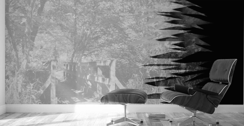 Jagged Edges B&W Wall Murals