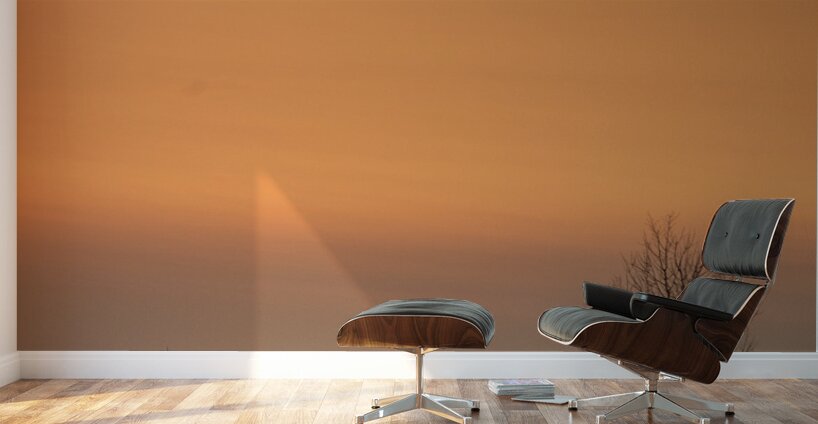 20250121 07 154 Wall Murals