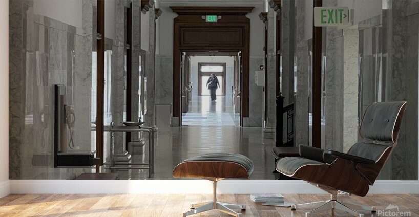 IMG 4622 Wall Murals