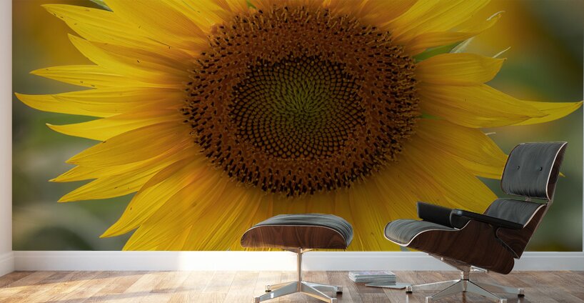 FLO 02580 Wall Murals