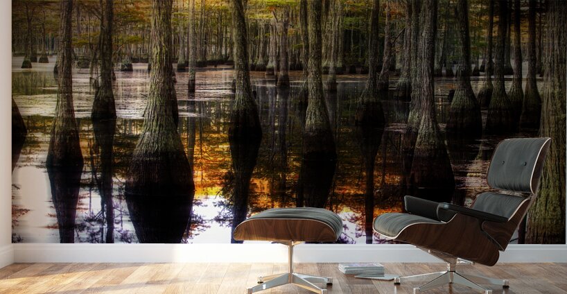 LAN 02585 Wall Murals