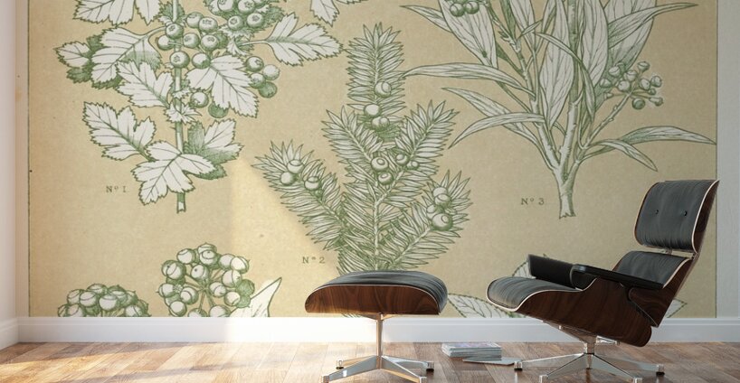 Leaves from Nature No.7 [1856] by Owen Jones [1809–1874] Wall Murals