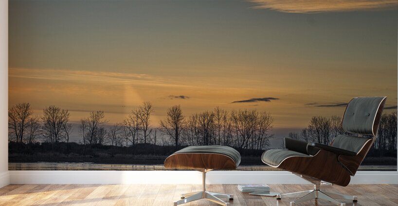 FS250121S CLOUDS Wall Murals