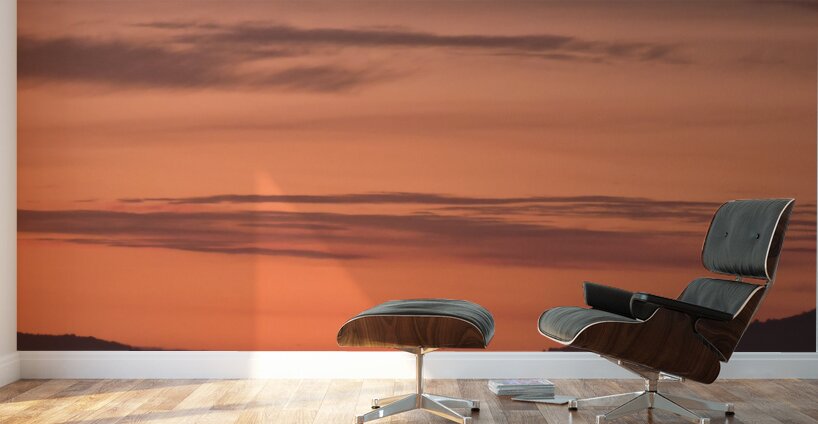 DSCN2405 Wall Murals