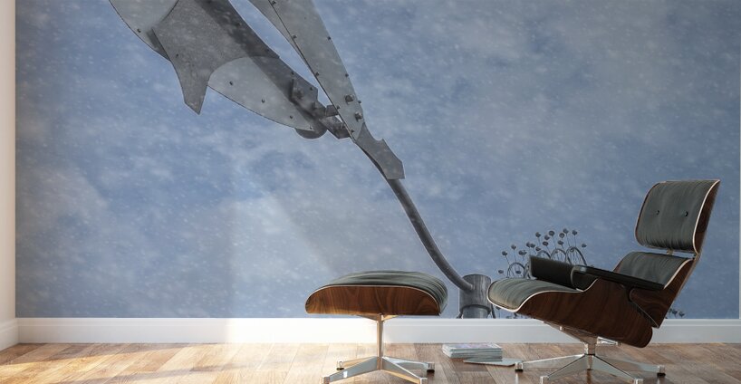 FS240229E Edit Wall Murals