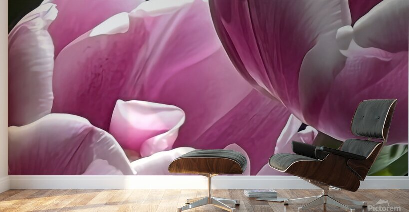 IMG 6066 Wall Murals