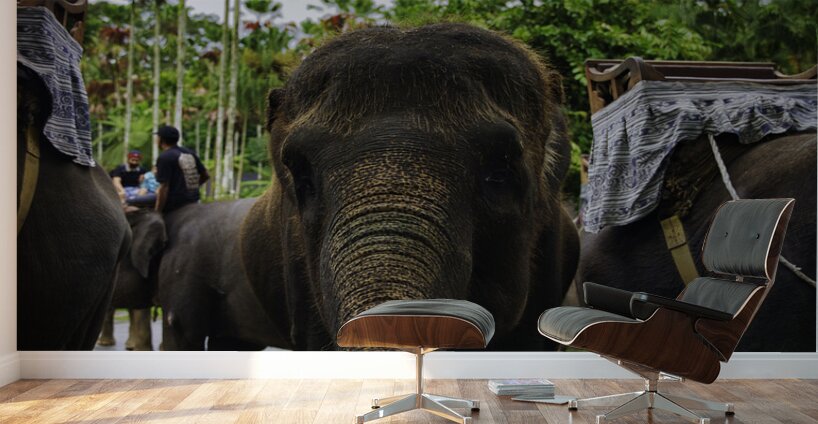 Touch of Trust Wall Murals