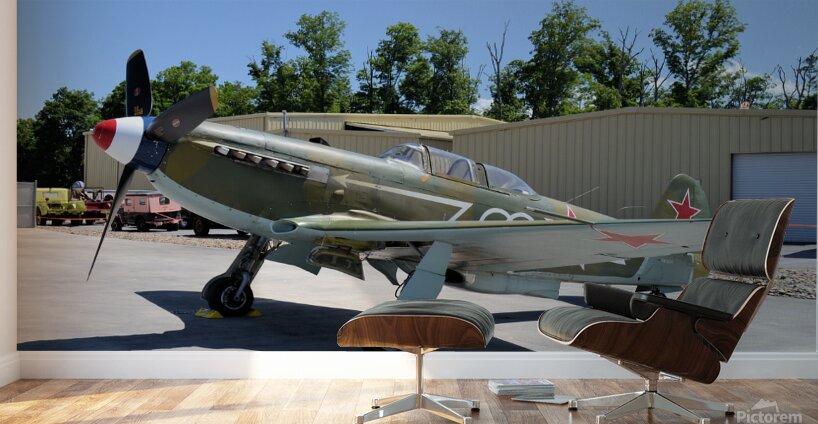 Yakovlev 9UM Wall Murals