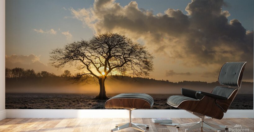 Lone tree Tree Oak Wall Murals