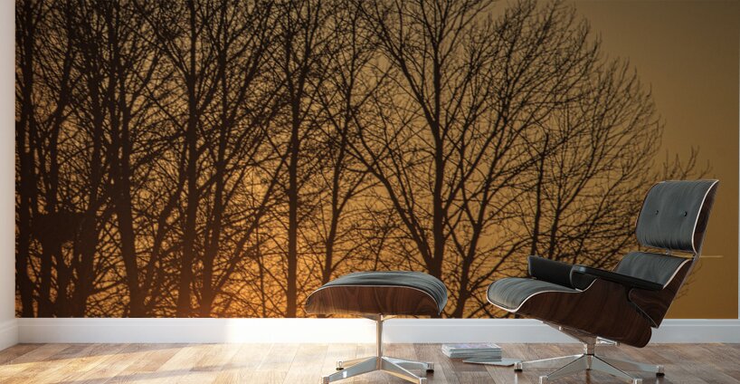 FS250118 SILHOUETTES Wall Murals