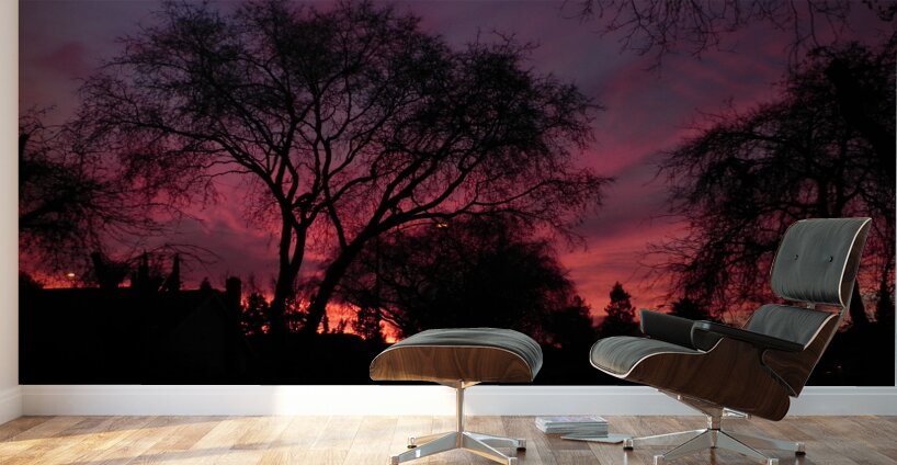 DSCN0470 Wall Murals