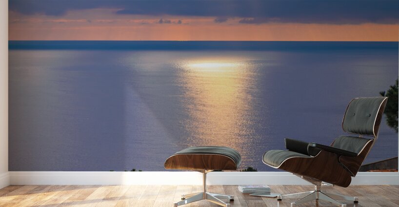 Riviera Storm Wall Murals