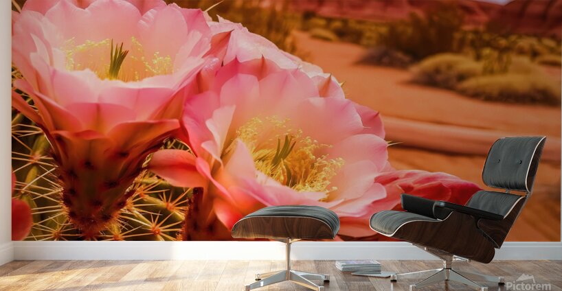   prompt   close up  blooming desert cactus  vibr Wall Murals