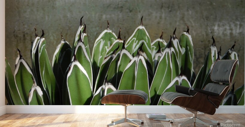 The claws Wall Murals