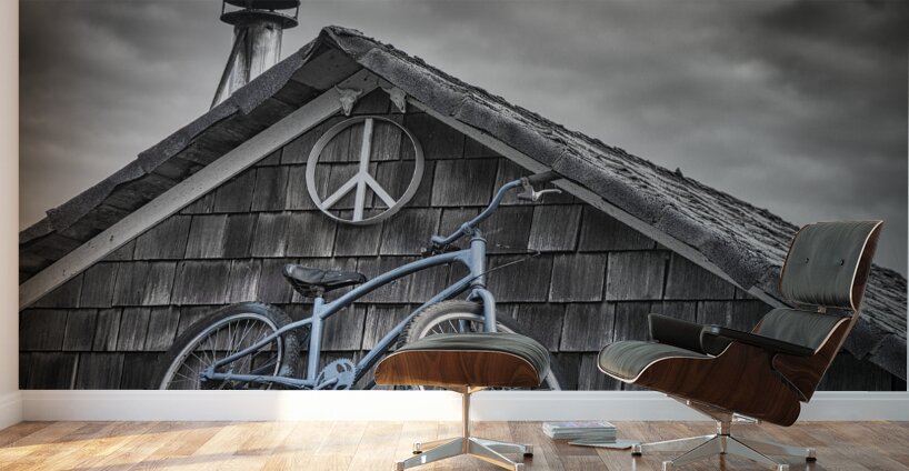 FS240214 BLUE BIKE ON ROOF Wall Murals